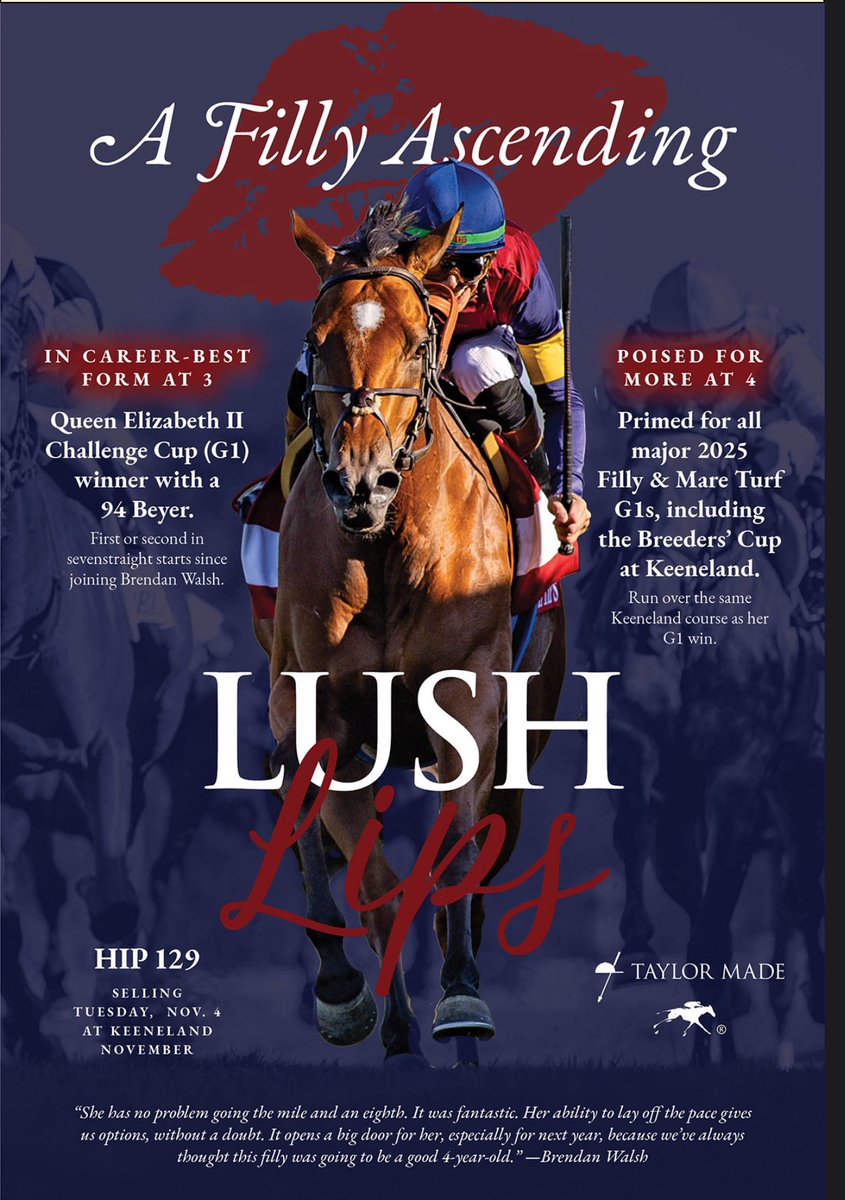 So proud of this filly &amp; looking forward to seeing what she can do in the future. 
We are also looking forward to presenting her full brother <a href="/Tattersalls1766/">Tattersalls</a> Foal Sale next month.