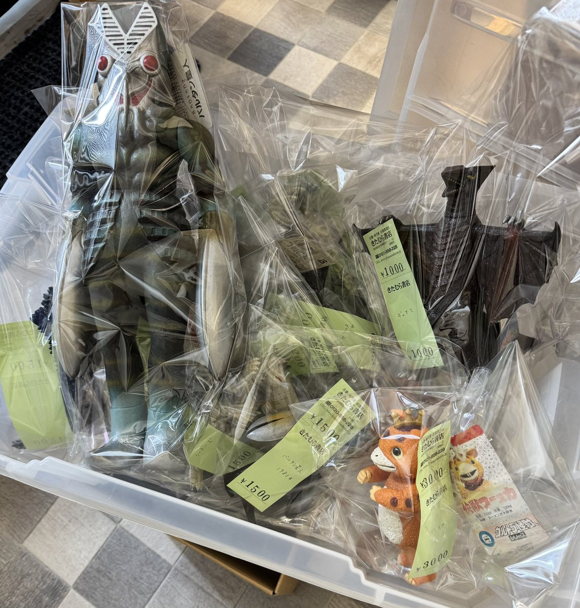 TAA15 信用金庫 親子怪獣 コケムシラ 100mm TAA15 信用金庫 親子怪獣