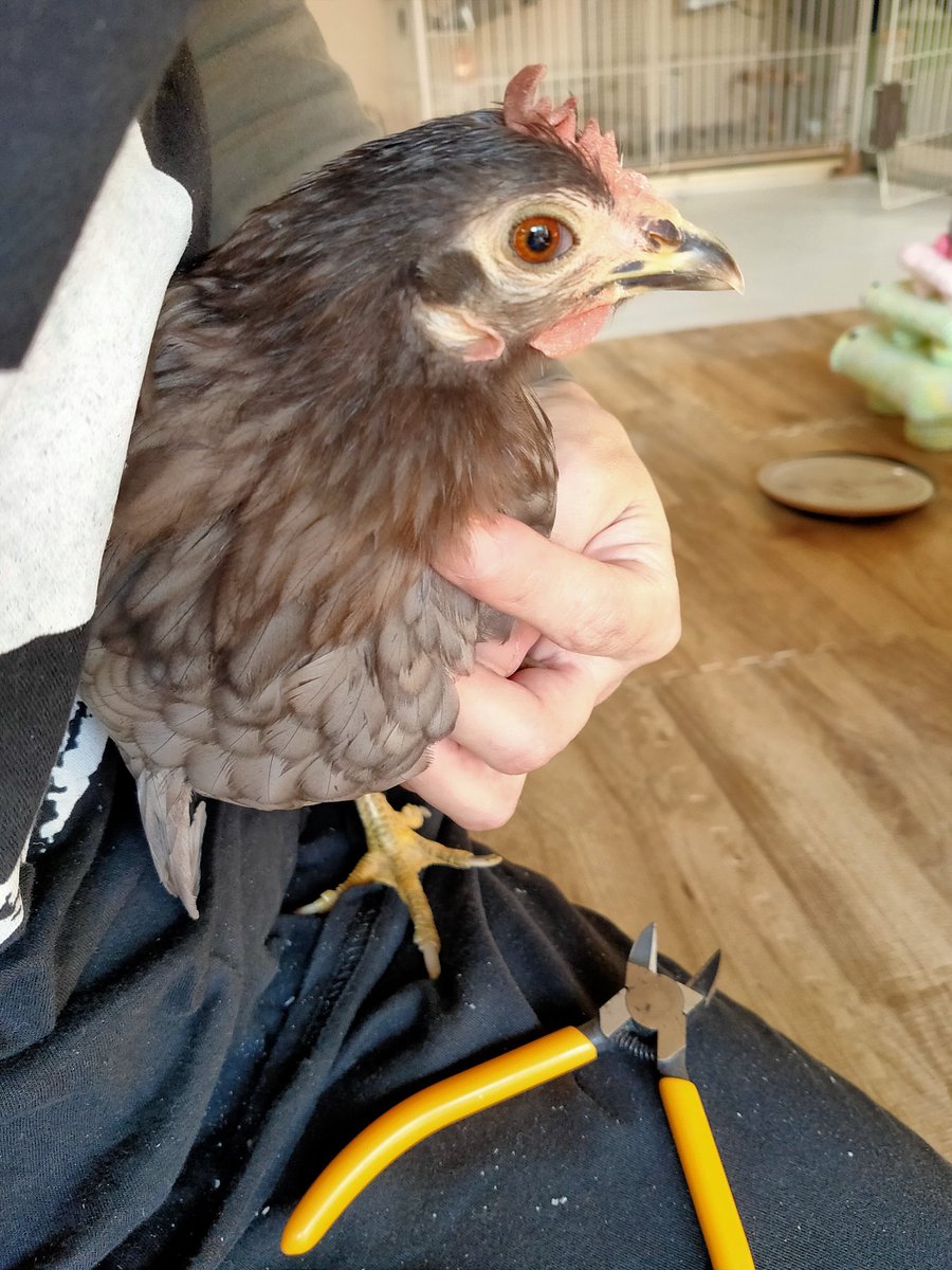 ゆうページでございます✻*˸ꕤ*˸*⋆。✻*˸ꕤ* 🌺なお🍭 on X