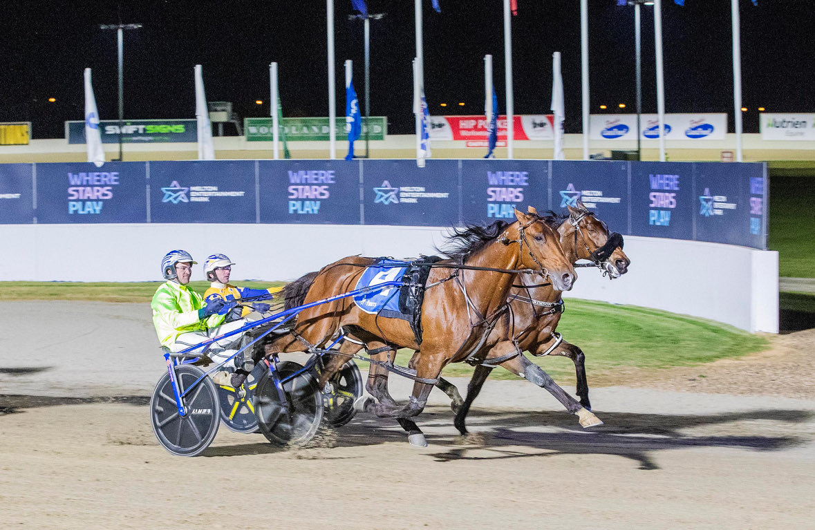 IT’S A LOCK🔥
Victoria Cup winner Kingman is heading to the $1mil NZ Cup, confirms owner <a href="/mickharvey7/">Mick Harvey</a> 
Flies out Sunday week for November 11 race <a href="/AddingtonNZ/">Addington Raceway & Events Centre</a> 
Pic: <a href="/stumccormick/">Stuart McCormick</a>