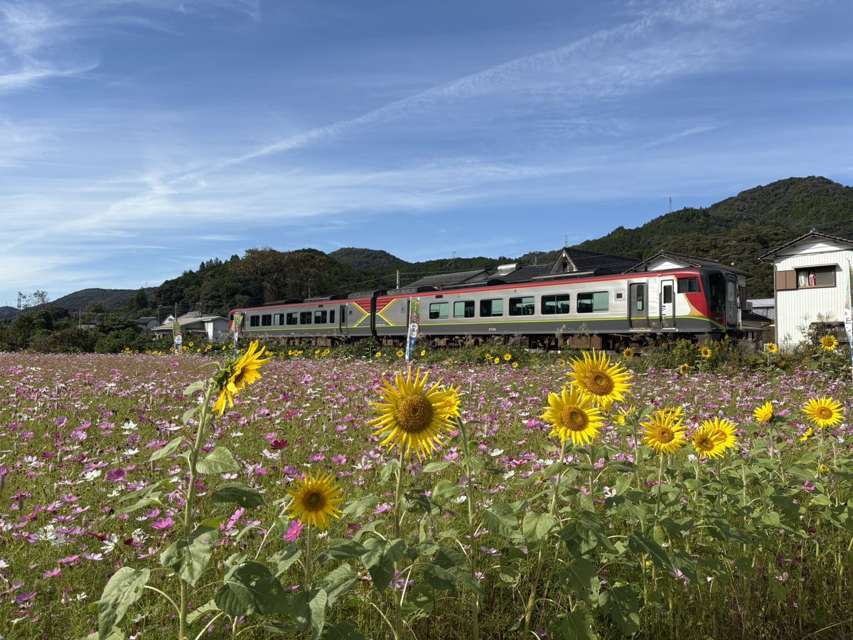 【東京近郊受渡し希望】 JR四国ツアー高知支店【公式】 on X