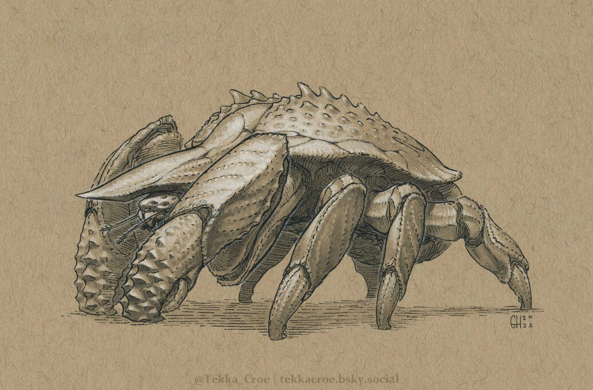 Inktober 28: Brawler Crab
An enormous crab with clubbed claws and a goring horn, that can grow to the size of two men.  They are hardy and adaptable, and quickly become a menace to coastal peoples unless regularly culled.
#art #traditionalart #Inktober2025