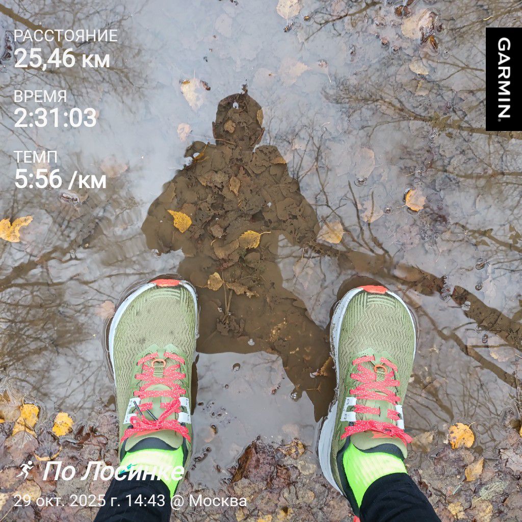 Мимикрирую под лес. 🌲🌳🍁🍂🪾