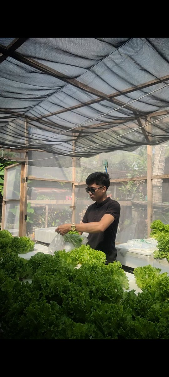 bixel_maku tweet media