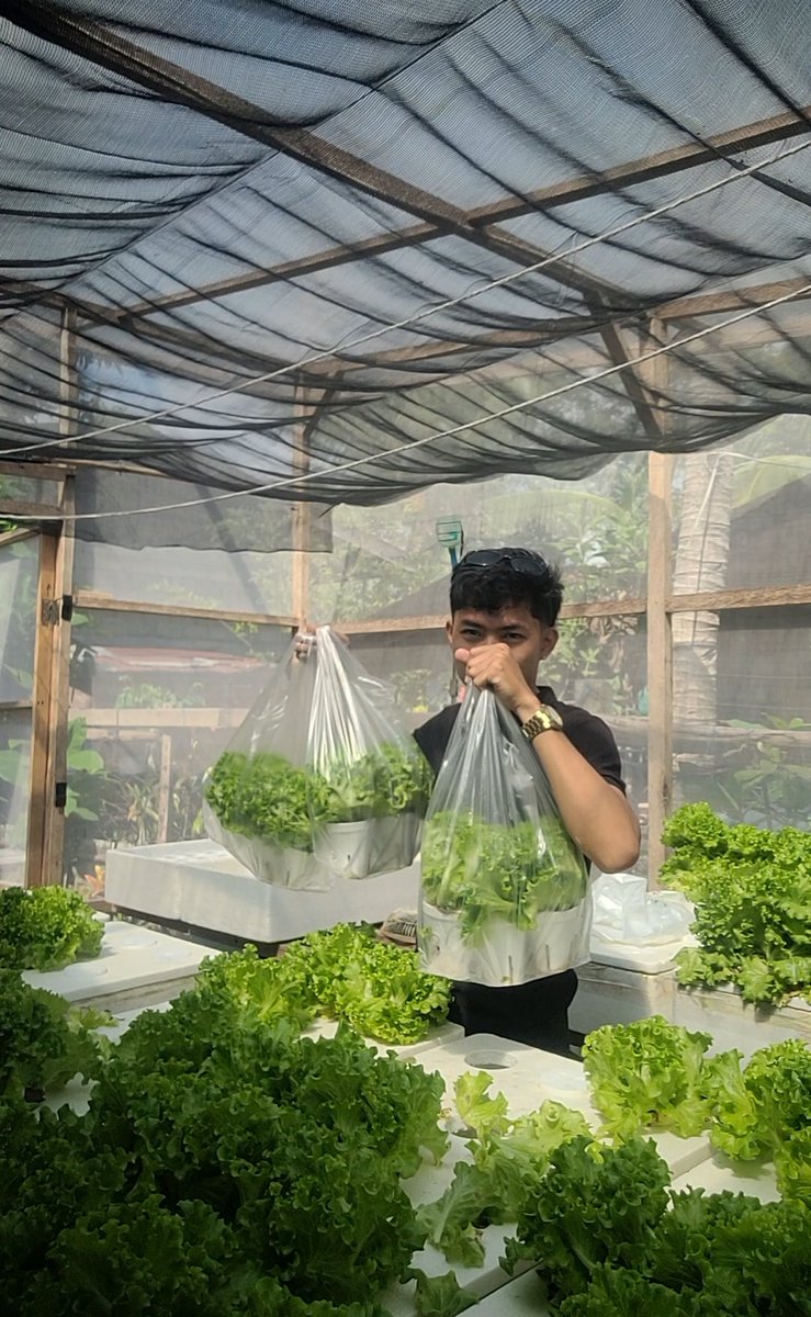 bixel_maku tweet media