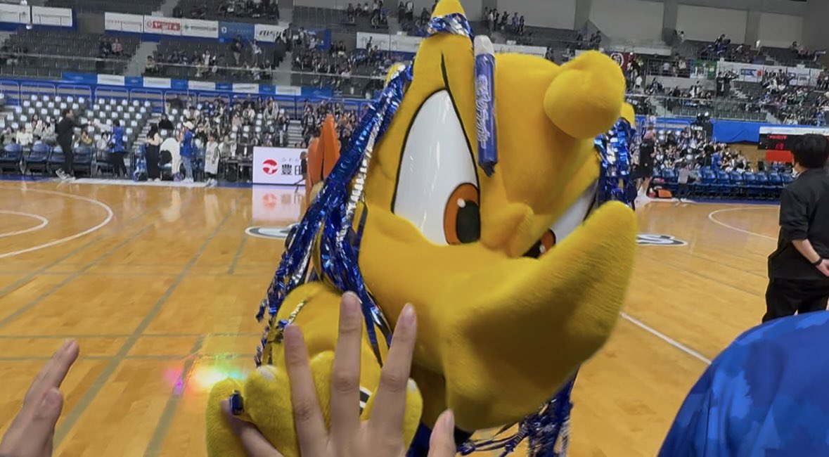 トーちゃん 3点 DR-Z250 01–05 Cylinder Head Suzuki 1110013E01 #253