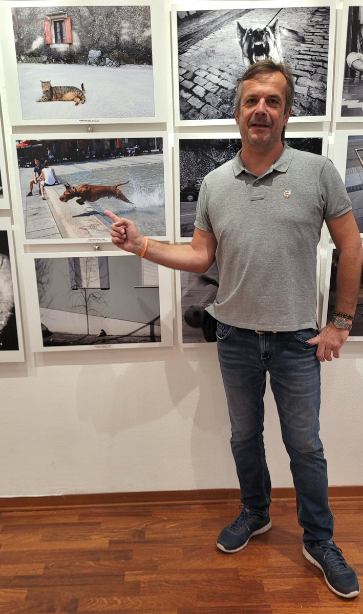 URBAN ANIMALS youtu.be/OEMezRidG-w?si… via <a href="/YouTube/">YouTube</a> 

#triestephotodays