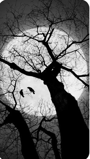 dm_nova_'s tweet image. Everyone talks, but @Giverap pays.  
The smartest move? Join the airdrop and watch your wallet grow. 🌍💎 #Crypto #Giverap 🪴