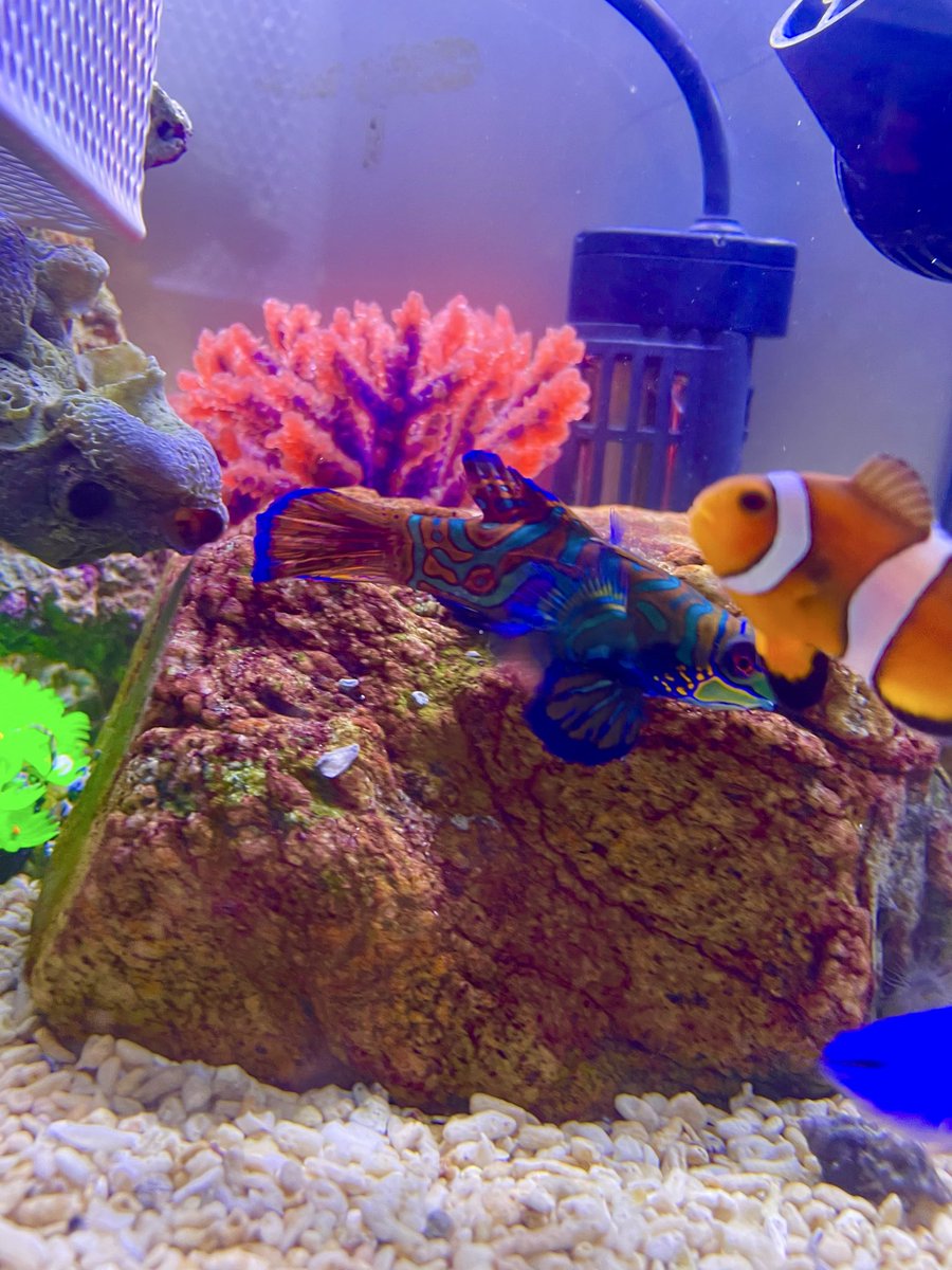 どん底太郎ch (@yc_fyq) / Posts / X