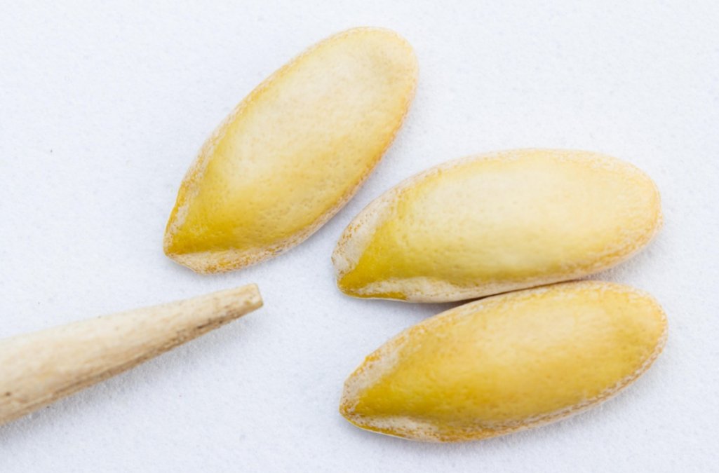 RDMjournal's tweet image. A new study shows that using lower-quality embryos in single frozen embryo transfers doesn&apos;t affect pregnancy or baby outcomes, offering more options for those seeking fertility treatments.🧐
#embryo #reproductive #fertilitystudy 
@RDMjournal 
journals.lww.com/rdm/fulltext/2…