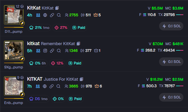 solfaygo's tweet image. update: the cinema became absolute.