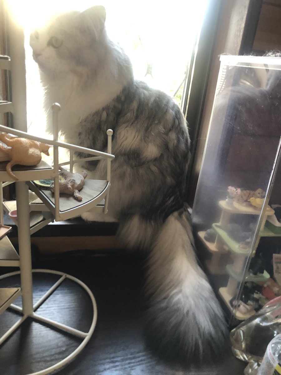 222kimi (@kGy47F80CQoYXQ7) / Posts / X