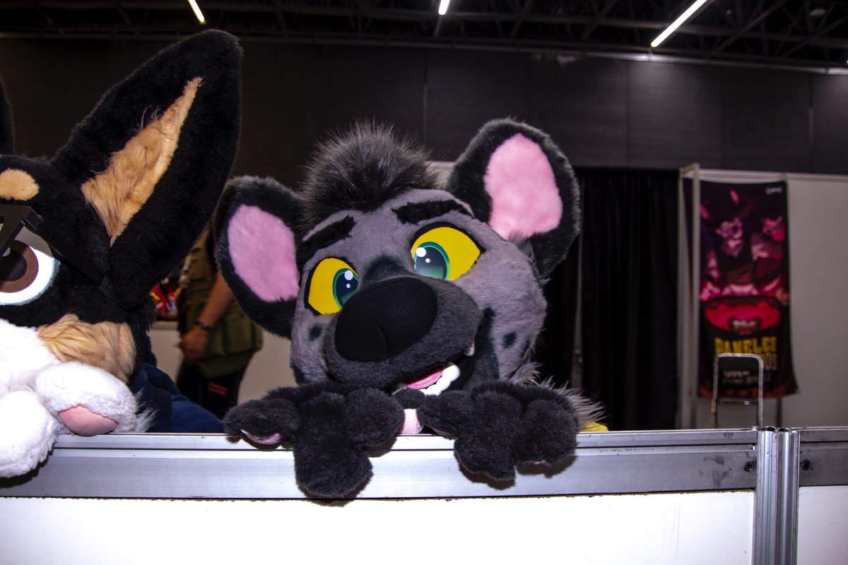 Softie Beakers @ Home tweet media