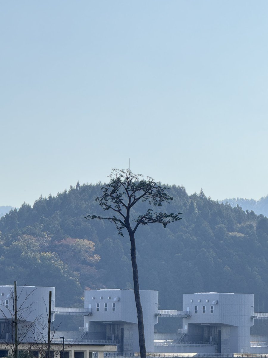 taishi_sode's tweet photo. 陸前高田市の復興まちづくりを視察しました。

震災からの再建に向けたインフラ整備、避難道路整備など、将来を見据えた都市計画に多くの学びがありました。

今後、袖ケ浦市の海側地区で始まるまちづくりにも活かせる貴重な経験となりました。

#陸前高田市 #まちづくり #復興 #袖ケ浦市 #議会視察 https://t.co/c1Lnyxd9n2