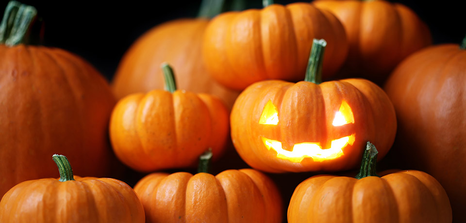 Happy Halloween Goons 🎃
#PlumeHalloween $Plume #PlumeNetwork #RWAFi