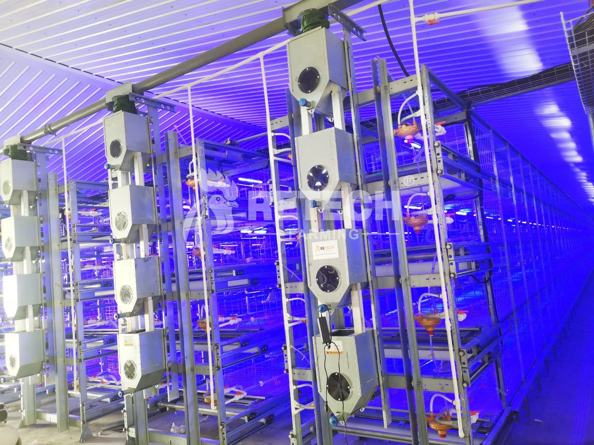 retechfarming's tweet image. 🇵🇭 100,000 Broilers | Modern Farm in the Philippines 🐔

As the preferred provider of smart raising solutions, RETECH helps farmers build efficient, sustainable, and profitable modern farms.

📲 WhatsApp: +86 185 6181 8850
📧 Email: admin@retechfarming.com

#RETECHFarming