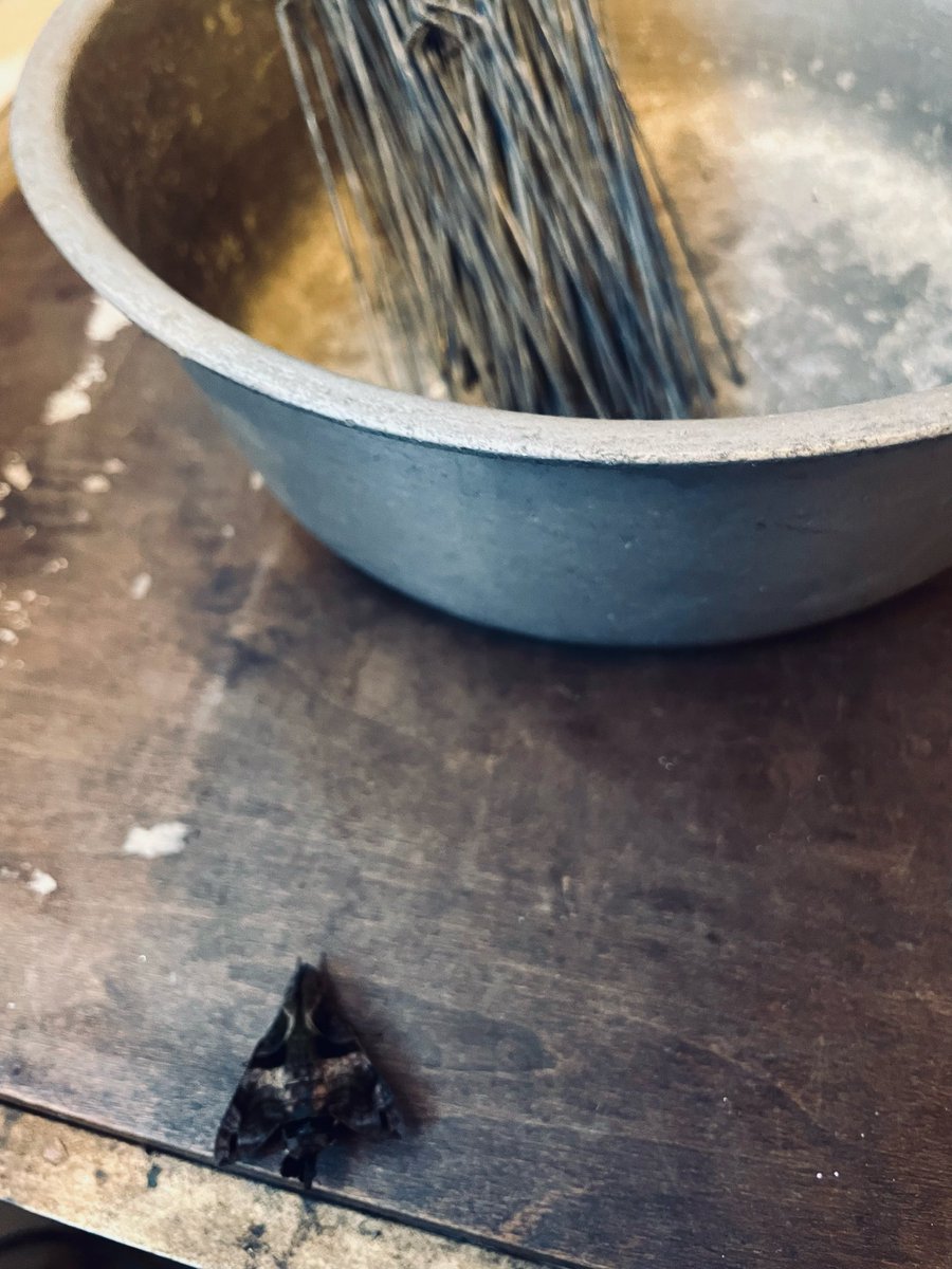 m*2様 加藤委作品 オブジェ(2) m*2様 加藤委作品 オブジェ(2) - メルカリ