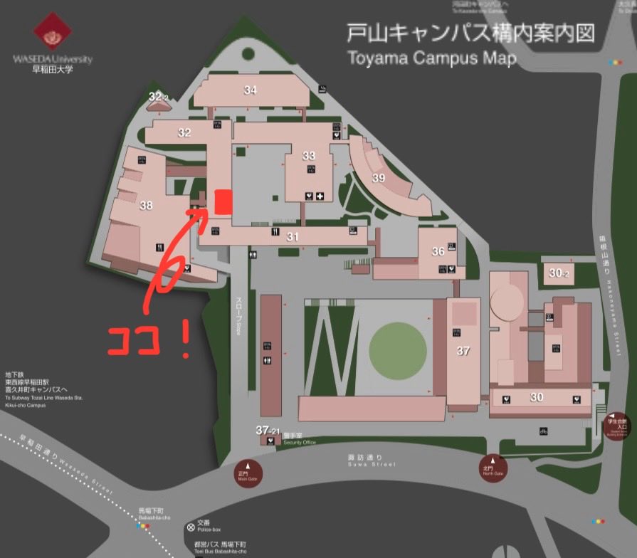 【早稲田祭出展情報】
(1/2)
わせねこの早稲田祭への出展が決定しました🎉
今年は教室を借りて展示を行います！！

日時：11月1日(土)、2日(日)  10:00〜17:00
場所：戸山キャンパス32号館321-1教室

戸山キャンパスの正門からお入りいただき、正面のスロープを上って左手の建物の3階です！