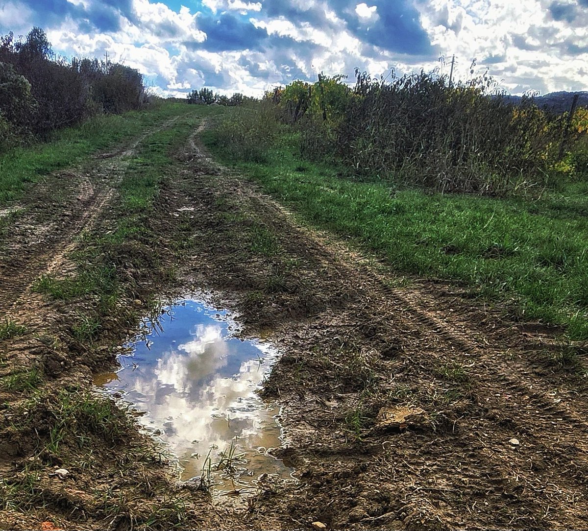 Tutti dicono che l’amore sia ovunque,
ma Pochi ti dicono che per vederlo serve una libertà feroce, da te, 
per riconoscere il Tuo cielo sulla terra.

📷- il cielo in una pozza, Chiantishire