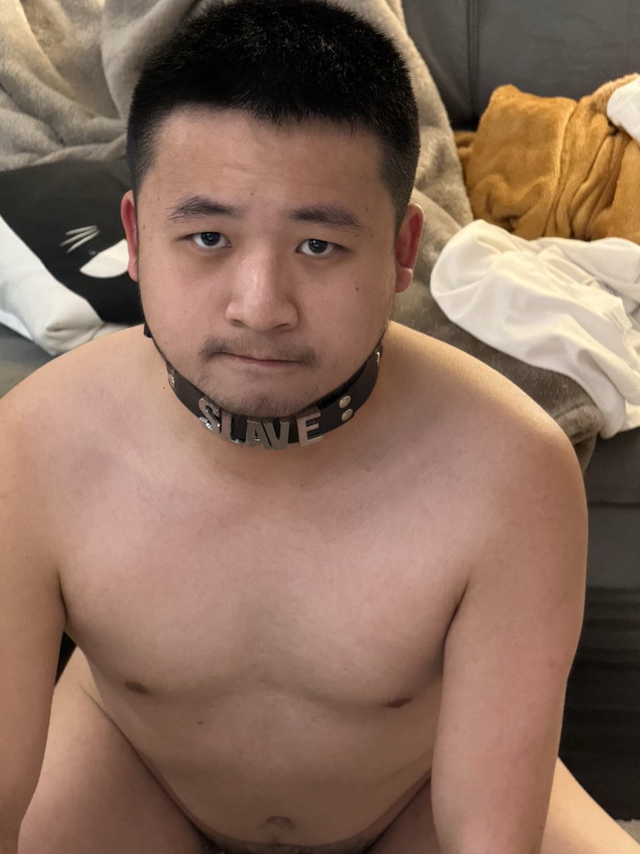 小狗打翻垃圾桶今晚睡地毯🫠