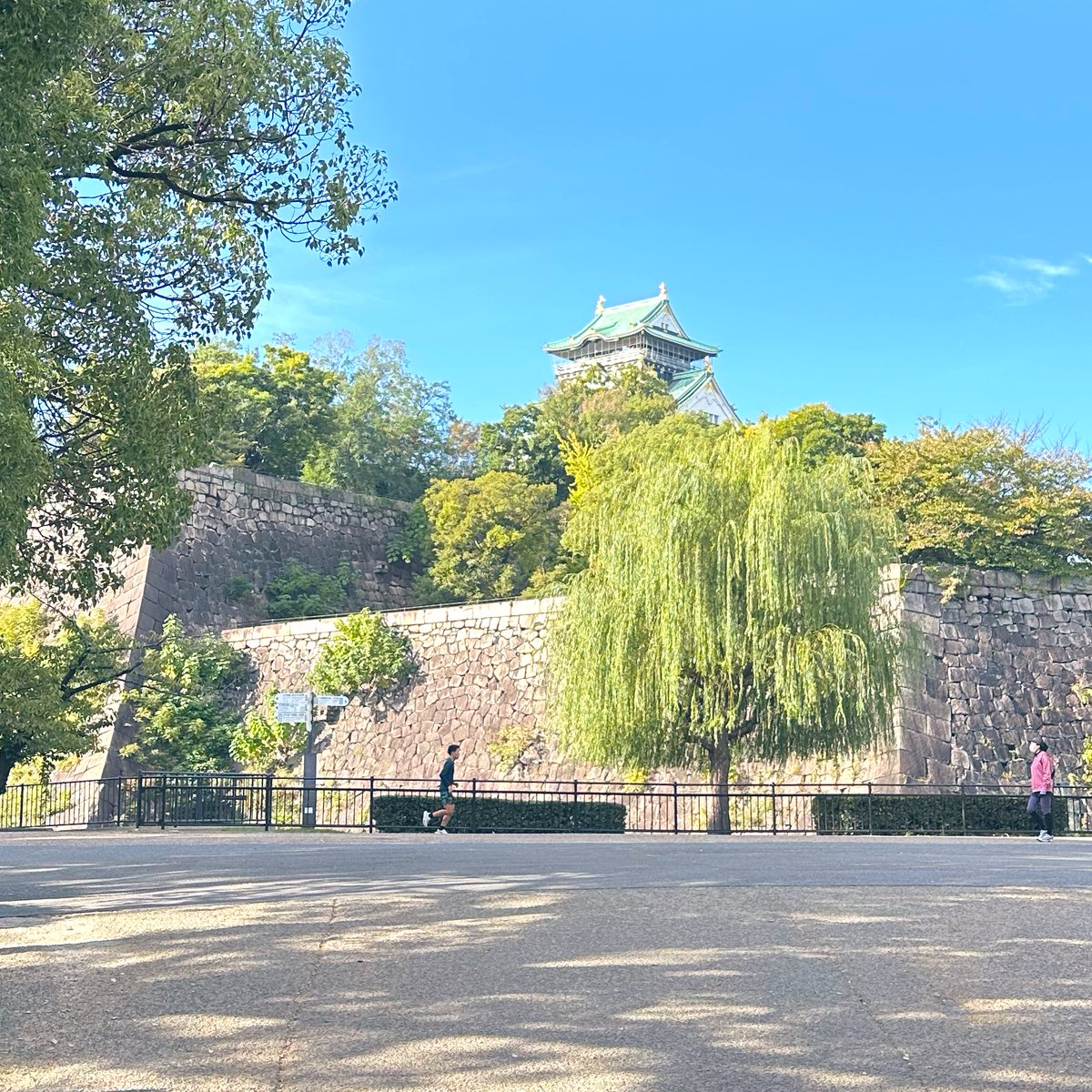 design_shamo's tweet photo. 国保に切り替え手続きと開業届だしたぞ～！！ポートフォリオ整えポチポチしてます💻頑張るぞー✊🏻
帰りに遠回りして大阪城公園にお散歩してきたいい天気☀️ https://t.co/Hl1bqchGO2