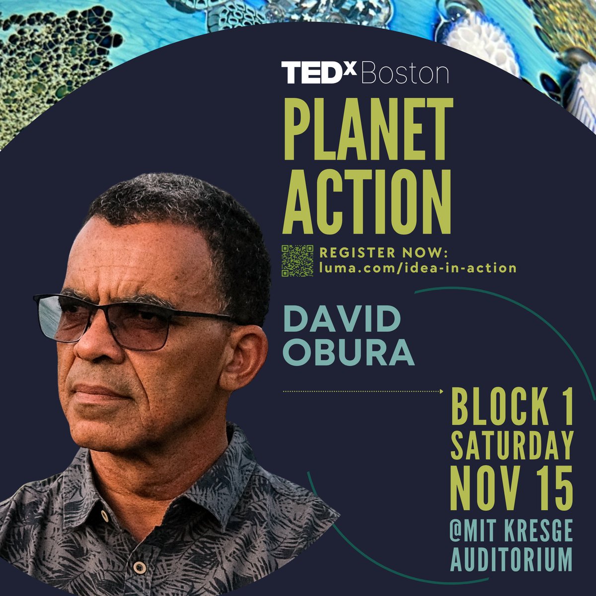 David Obura tweet media