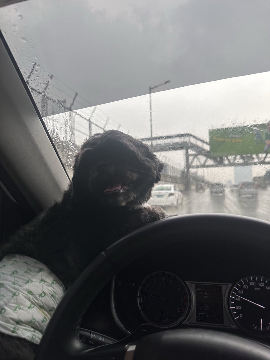 Last Thursdate with this handsome fellow. Your mom’s coming home! I’ll miss this runs but I’m more excited to finally be with your mom again. 🥰🥰🥰🥰🥰