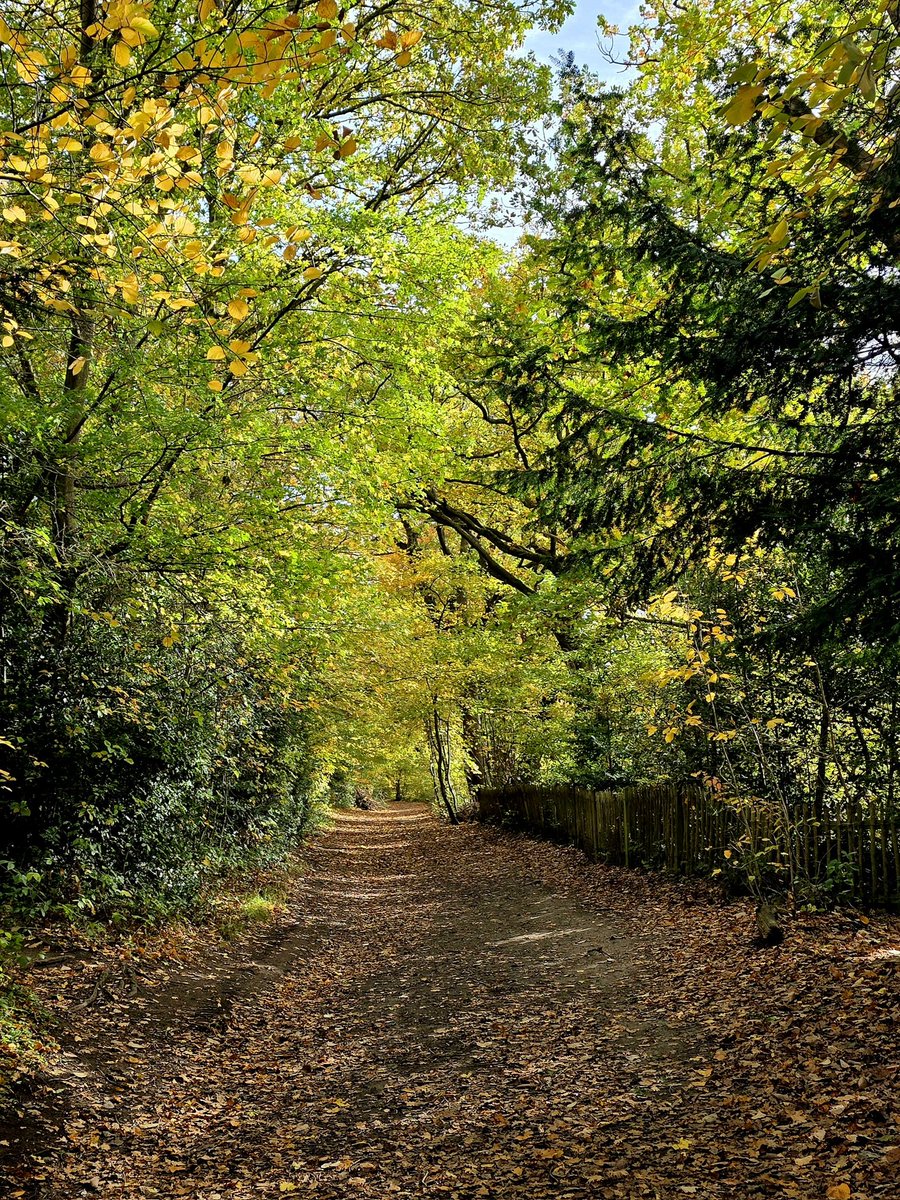 Goodmorning friends ☕️ ☕️  Enjoy your day wherever you wander.