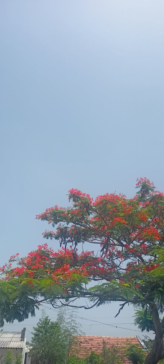 Ashvin9319's tweet photo. @earthcurated @CrispeThe https://t.co/zyCTUOpvT5