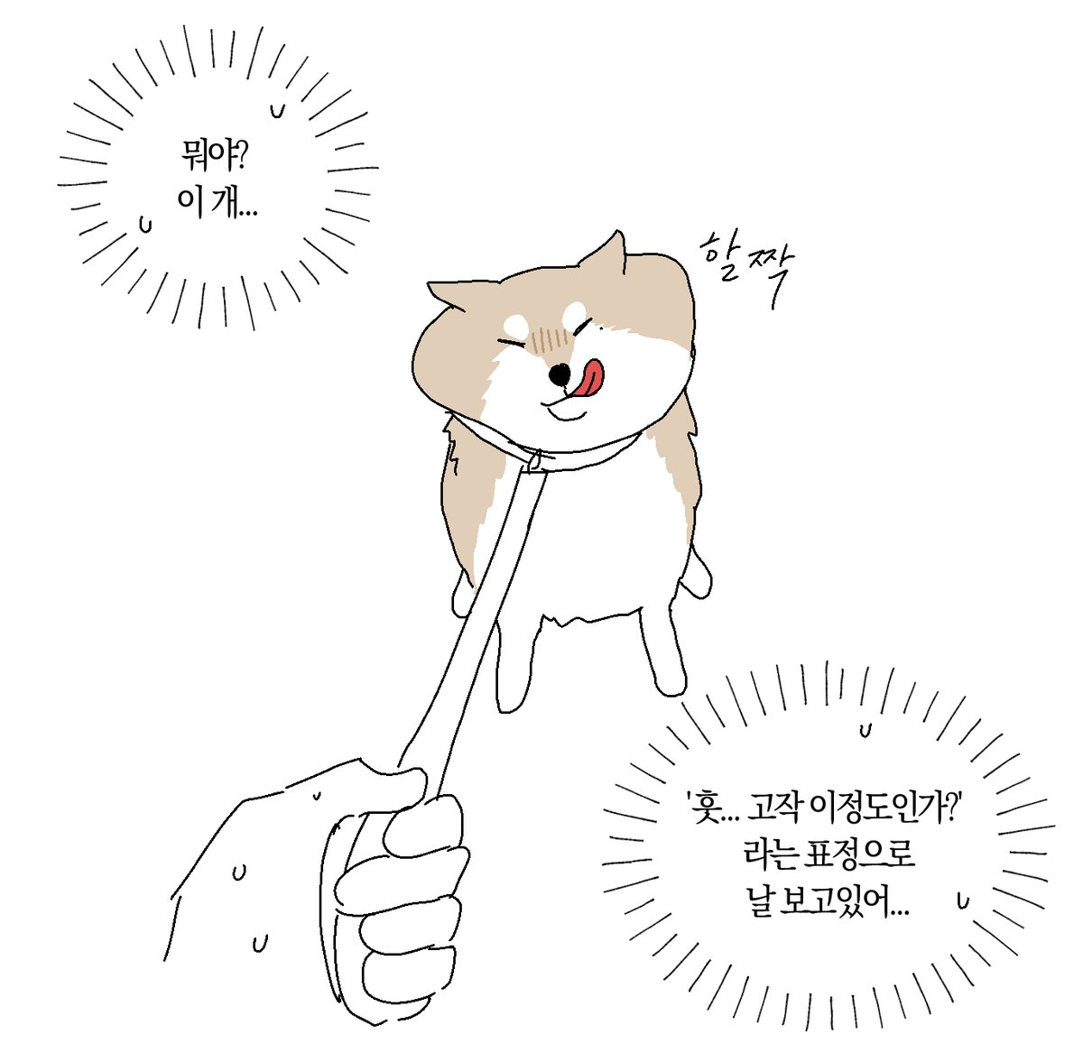 해조류 tweet media