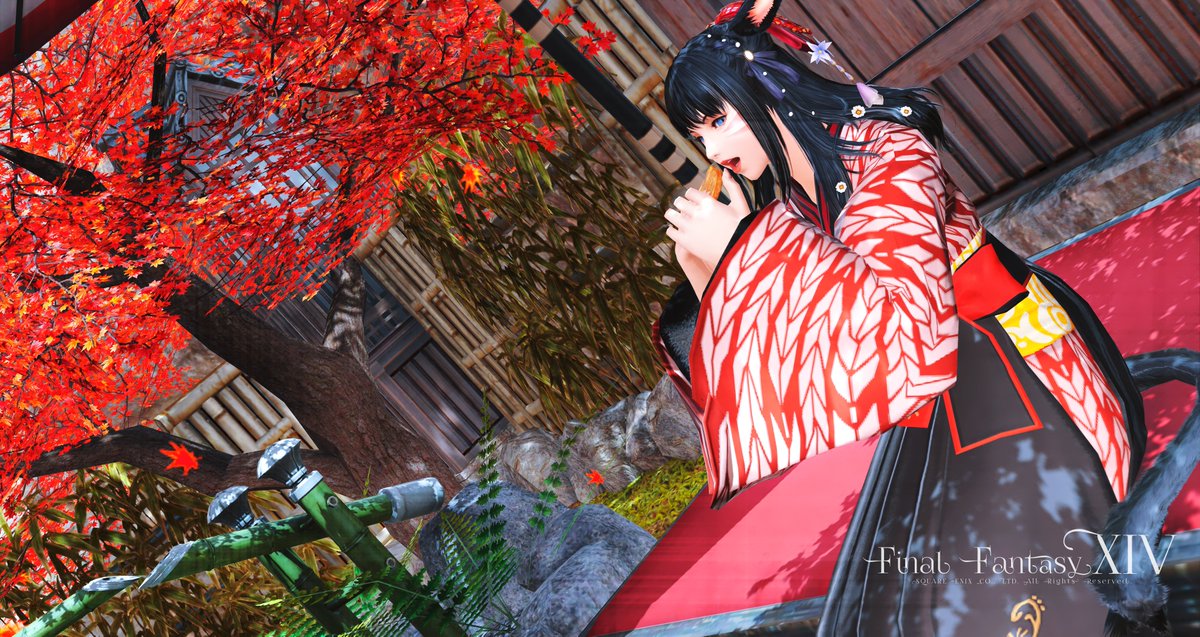 aira_FFXIV's tweet photo. 秋尽くし…？
#FFXIV #GShade #ミコッテ https://t.co/ZnYp7Z2yzX
