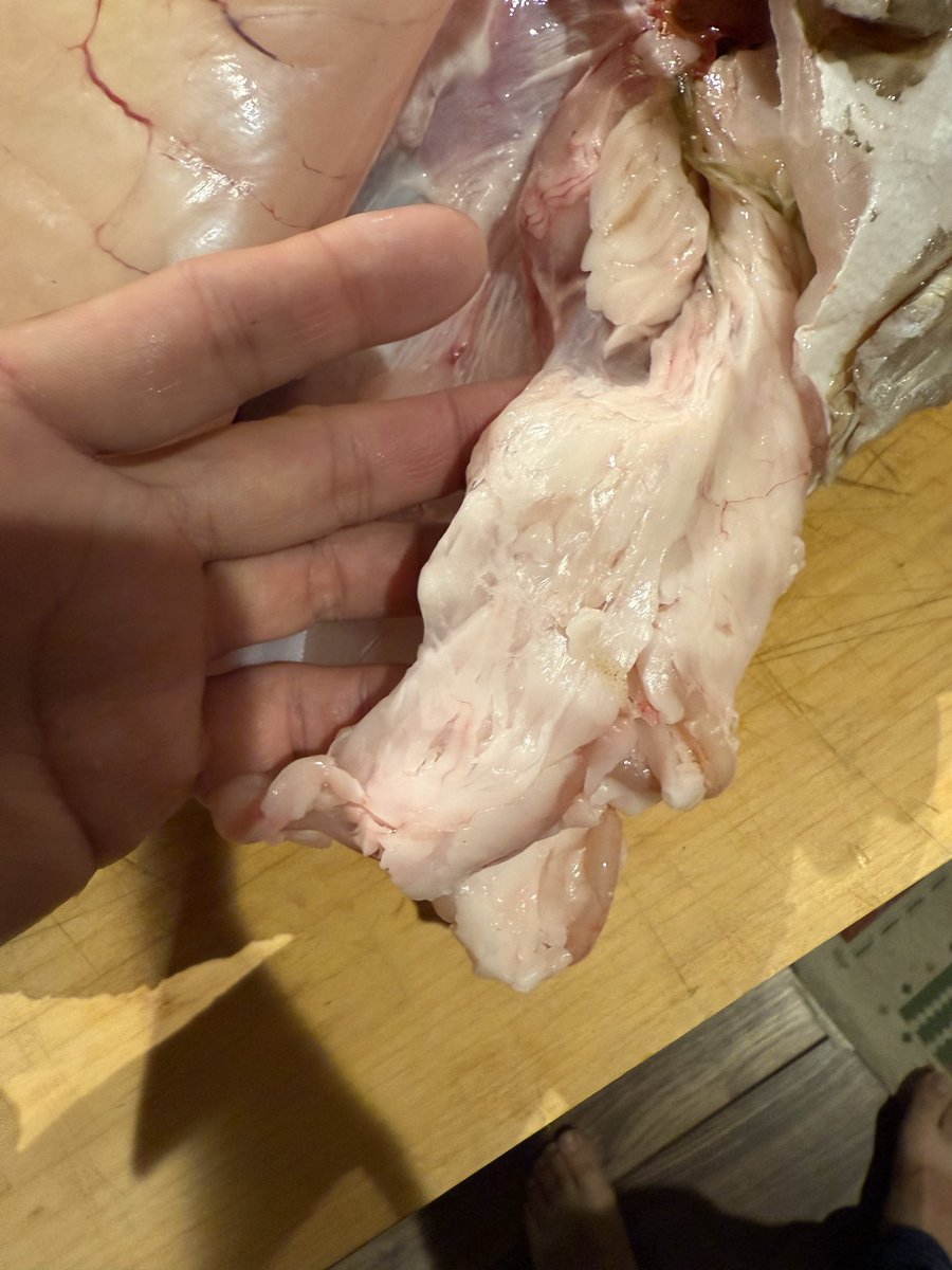 FerSoldat's tweet photo. 獲ったモロコは内臓脂肪がぎっしりでした
半身はクエ鍋に
残りは「年越しモロコラーメン」用に冷凍します
#モロコ #喜久丸 #ズーマフィッシングチーム #ZFT https://t.co/3Bj82UCqpc