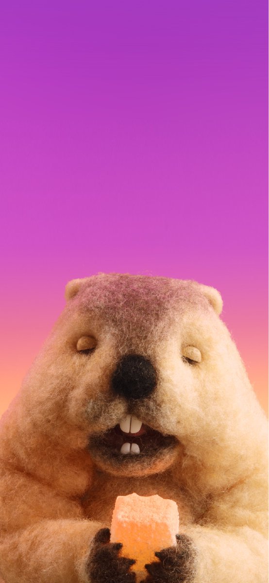 E3%82%AB%E3%82%B8%E3%83%83%E3%83%86