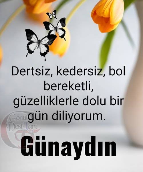 Gldm888DC's tweet photo. Yeni gün, yeni mumlar, yeni fırsatlar! 🚀
Kaybeden dünkü sen olsun, kazanan bugünkü sen!
Güne inançla başla, kazanç kendiliğinden gelir 💪📊#GoodMorning #gunaydın 
#Kripto #Borsa #Motivasyon https://t.co/igs7aoQphN