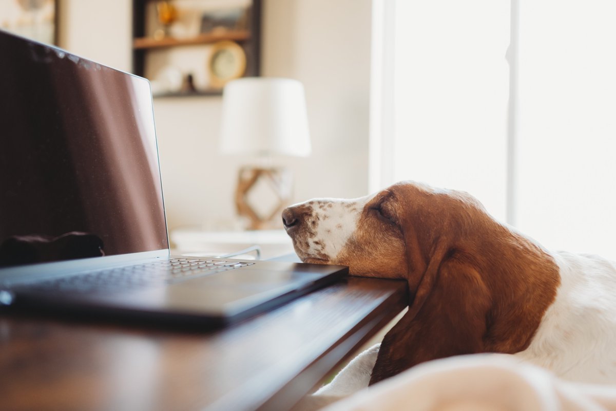 The_Last_Hurdle's tweet image. Blogs don’t have to be boring! 🚫✍️
Turn dry topics into stories your audience actually enjoys.
Because people don’t remember facts — they remember stories.
👉 Find out how in our new blog: thelasthurdle.co.uk/storytelling-i…
#ContentRepurposing #ContentMarketing #Storytelling…