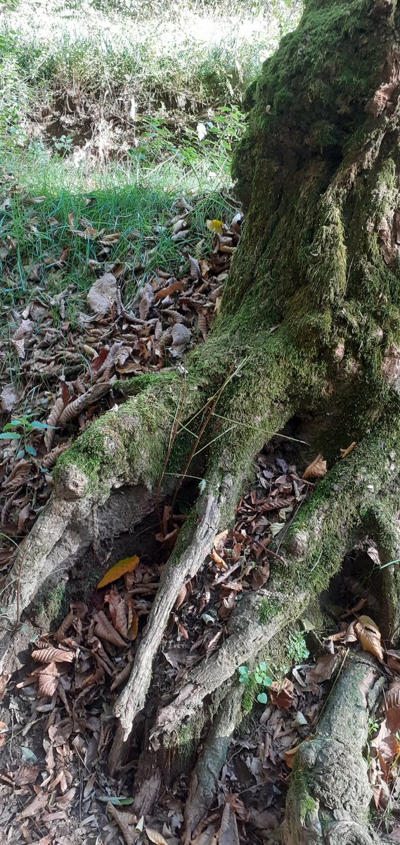 Buongiorno a tutte e a tutti!!