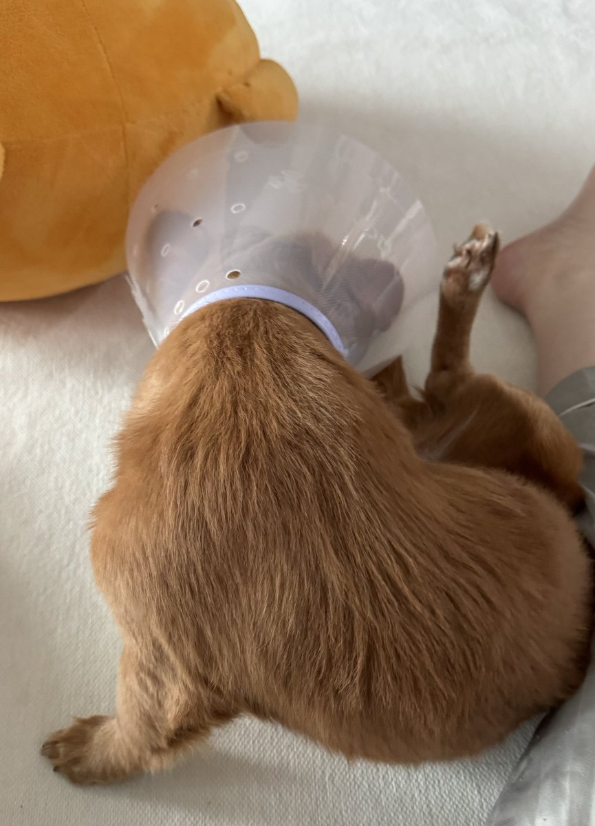 내가 봤던 땅굴이중에 가장 슬퍼보인다