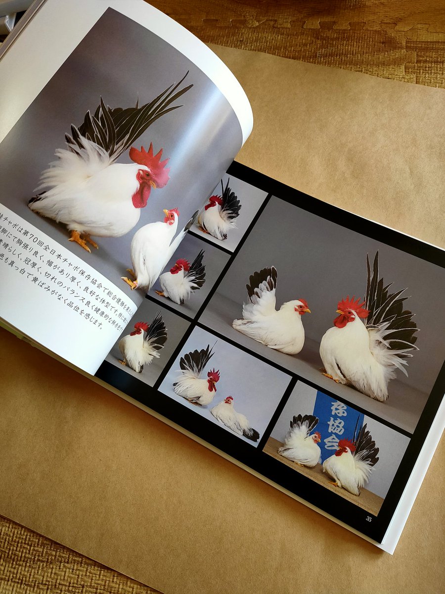 めーめ🐳 (@kuziranoko) / Posts / X