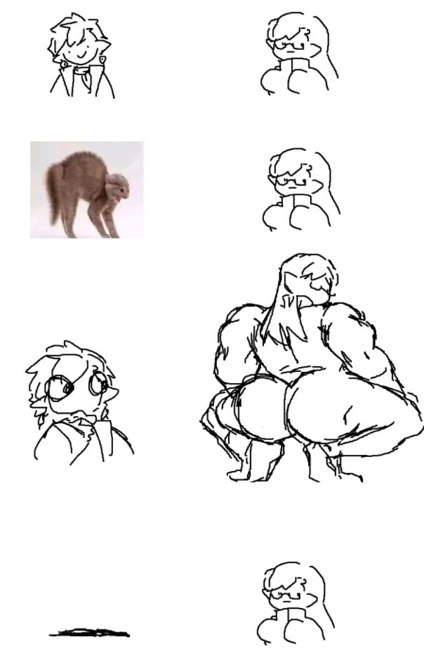 車輪梅 tweet media