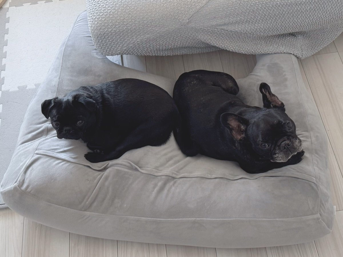 いくみ(オタクのすがた) on X