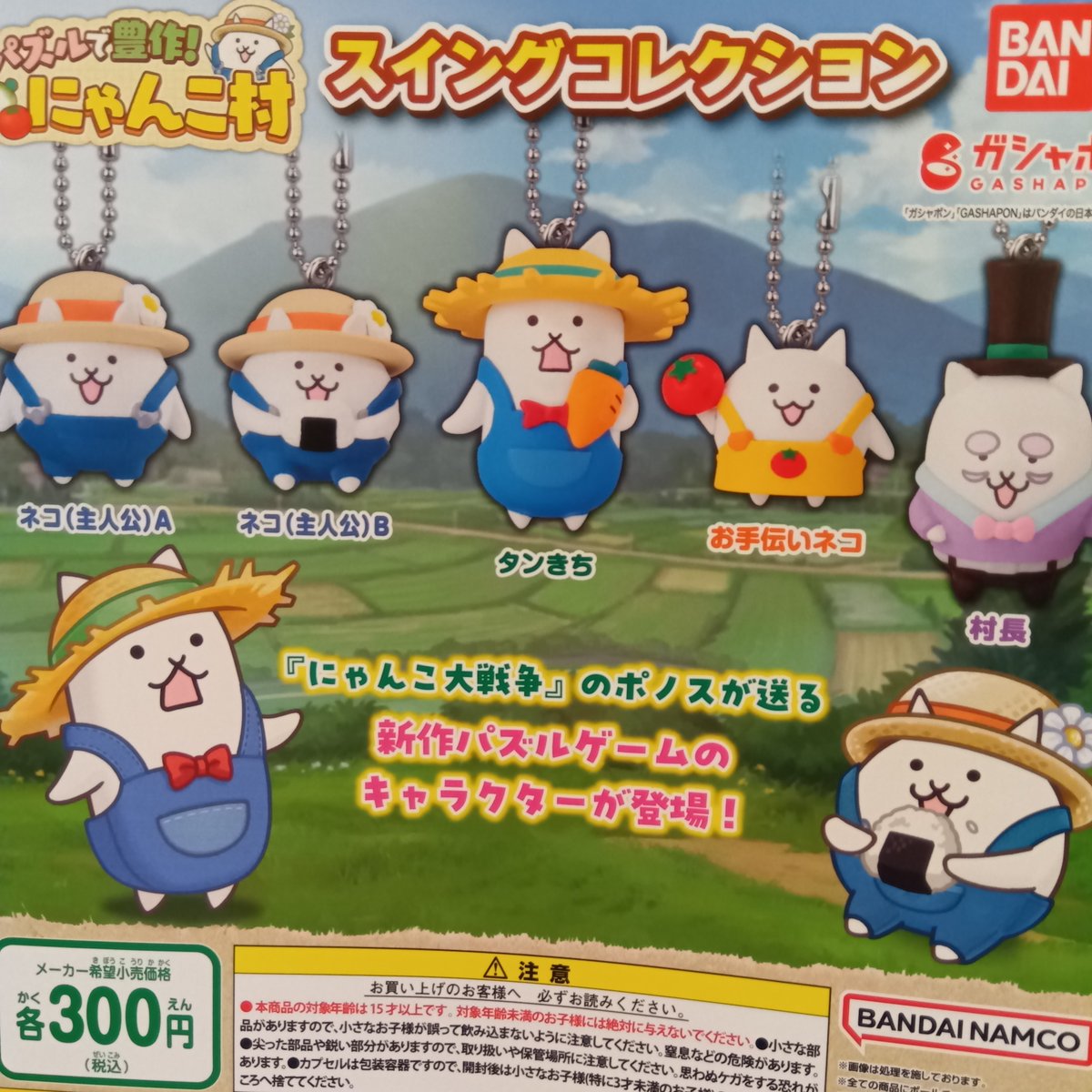 カプセル楽局ひばりが丘店 on X