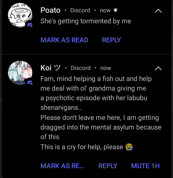 shellwarri0r's tweet image. I think they're having fun!