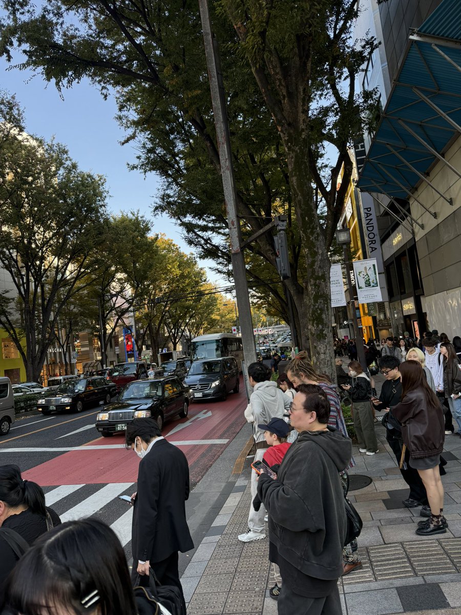 the only reason i come to tokyo every year is just these walkable streets 

I need nothing fancy but some good walkable streets in india 🇮🇳