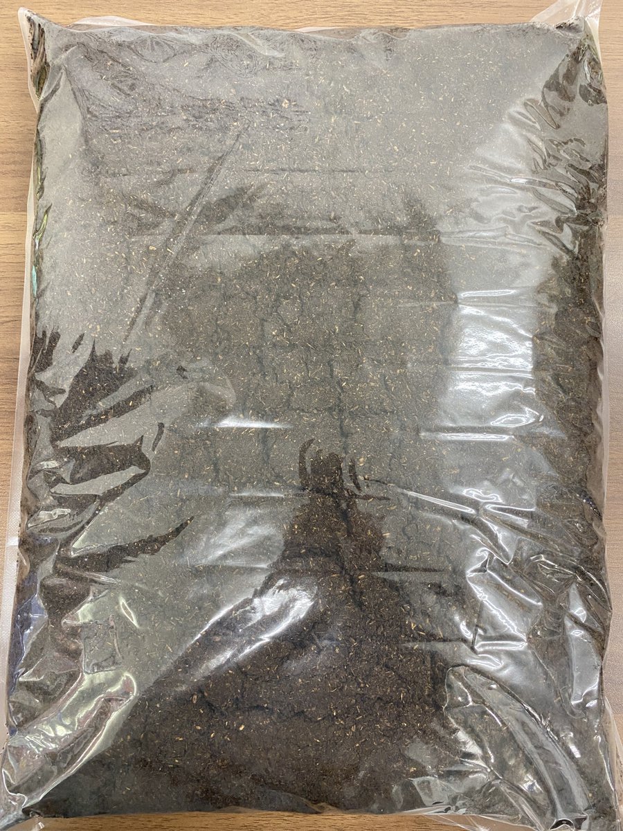 カブト・クワガタ専門店 BEETLE GARDEN on X