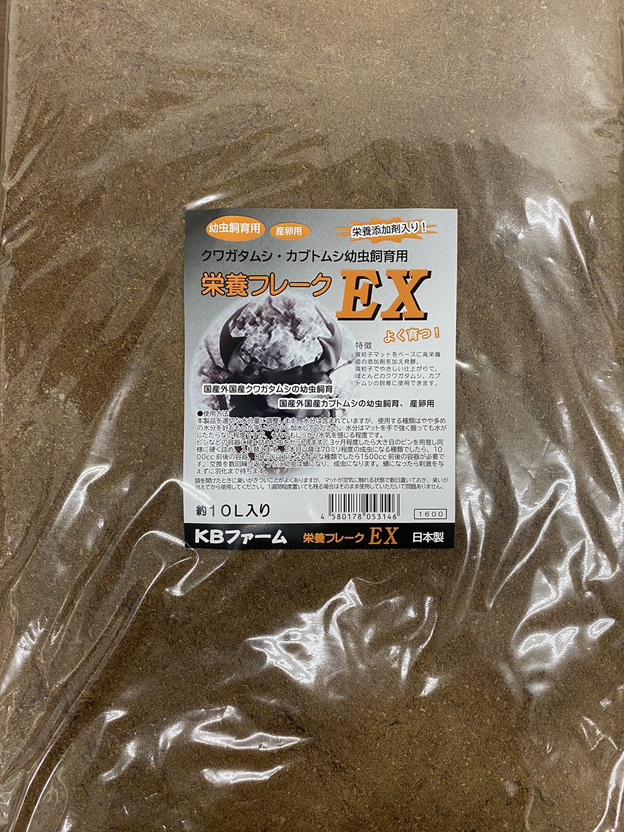 化石　A-6 カブト・クワガタ専門店 BEETLE GARDEN on X