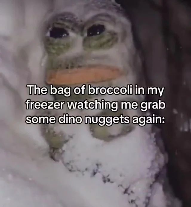 hourly_shitpost's tweet photo. https://t.co/wwpu8s2vEg