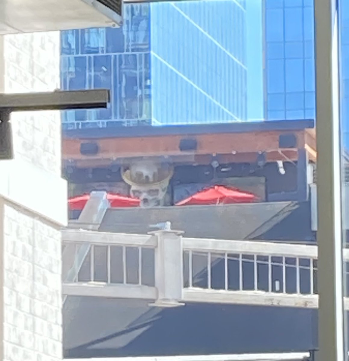 cthonicbionic's tweet photo. Paparazzi caught me having brunch with the girls. https://t.co/x8wXArauDi