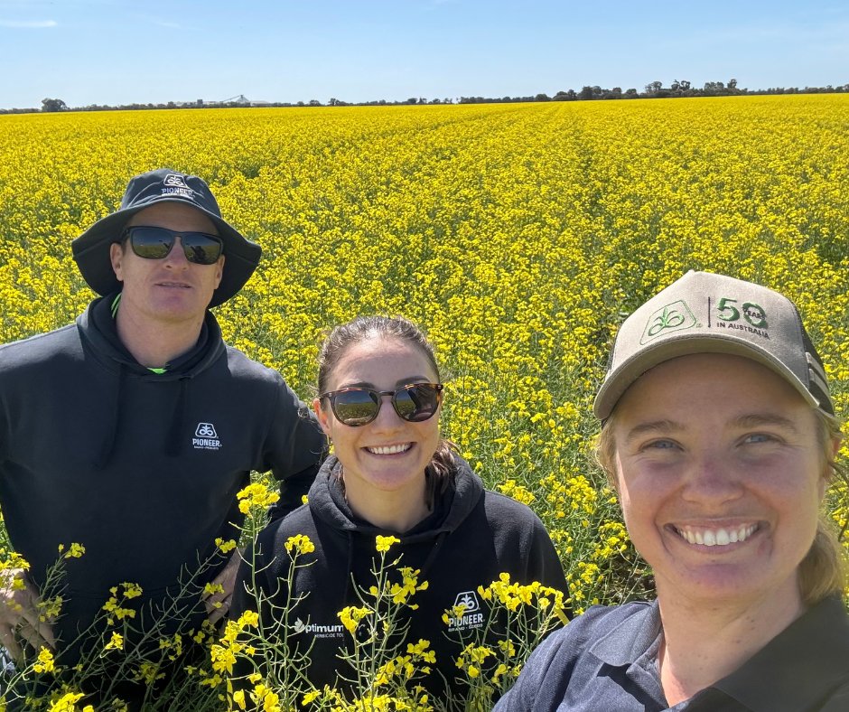 Production Location Manager Luke Brown, Production Agronomist Emily Tognetti and Southern Production Lead Amelia Richardson checking out a thriving Triazine Tolerant production crop at Coleambally, NSW. The team is thrilled with how it’s looking so far this season!