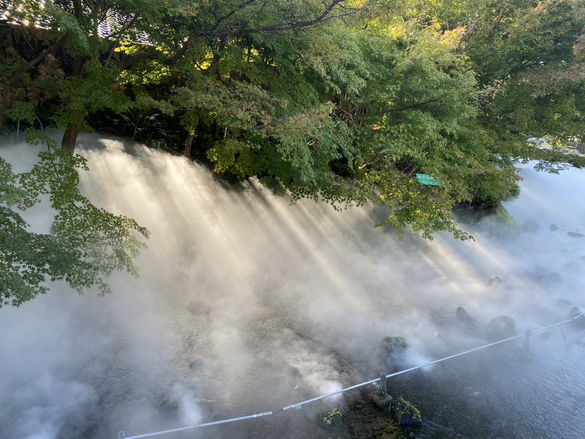 ✨なばなの里に幻想的な霧がふわり🌫️

入村ゲートから「里の湯」に至る約200ｍのせせらぎに幻想的な霧が立ち込め、雲海のような光景が目の前に広がります☁️✨

季節や天候によって表情が変わり、
夜のライトアップとの競演はもちろんですが、
日中にも写真のような幻想的な景色をご覧いただけます☺