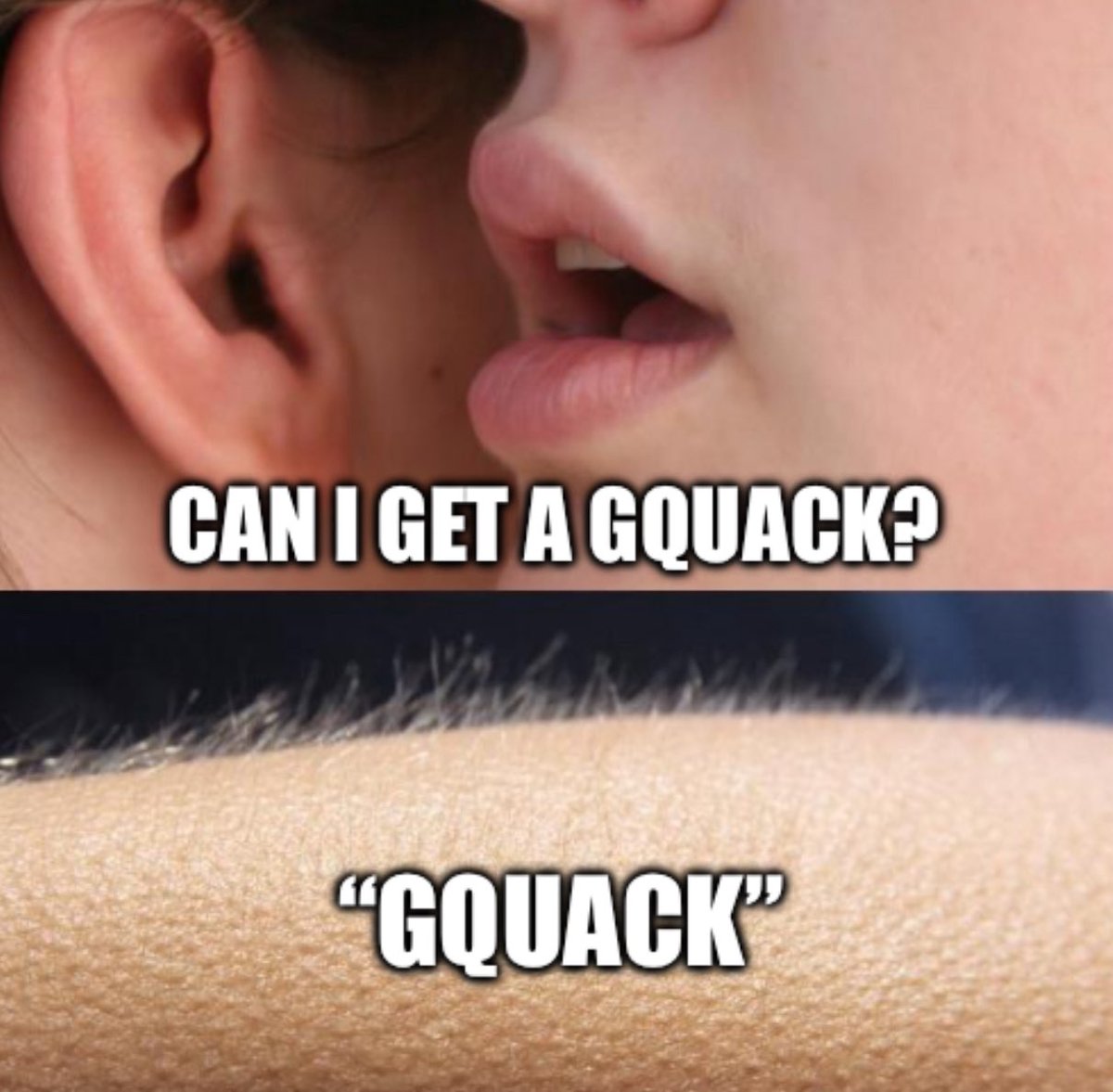 Lowskii_gg's tweet photo. Can I get a gQuack?

@wallchain https://t.co/mWXvnz0rEA